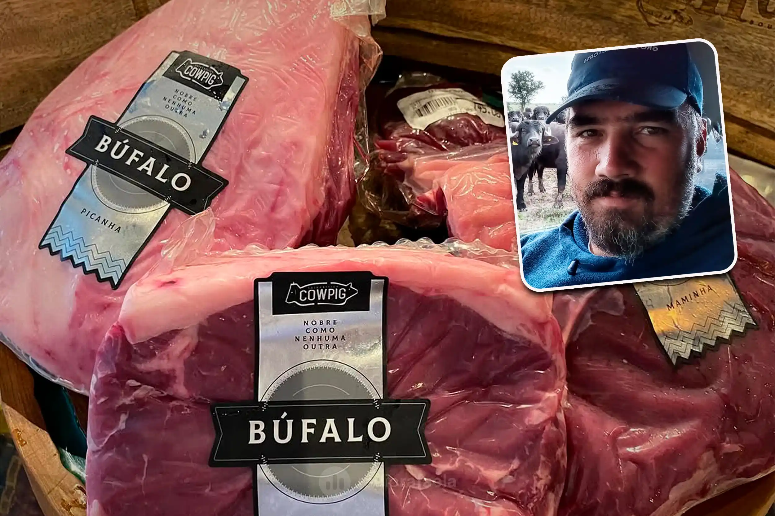 El consumo de carne de búfalo crece cada vez más en Santa Fe: "Es alta en proteína, baja en grasas intramusculares"