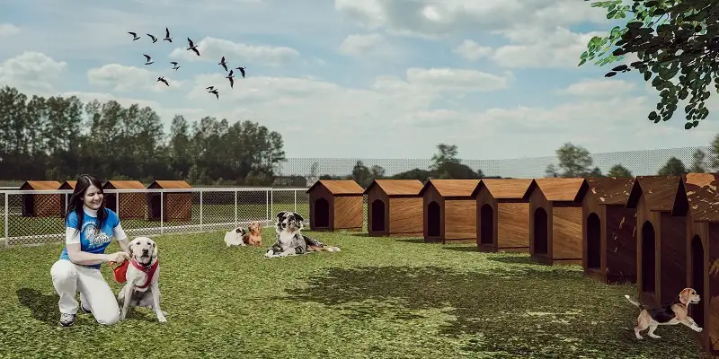 Se anunció el nuevo albergue para animales, pero los refugios cuestionaron el proyecto