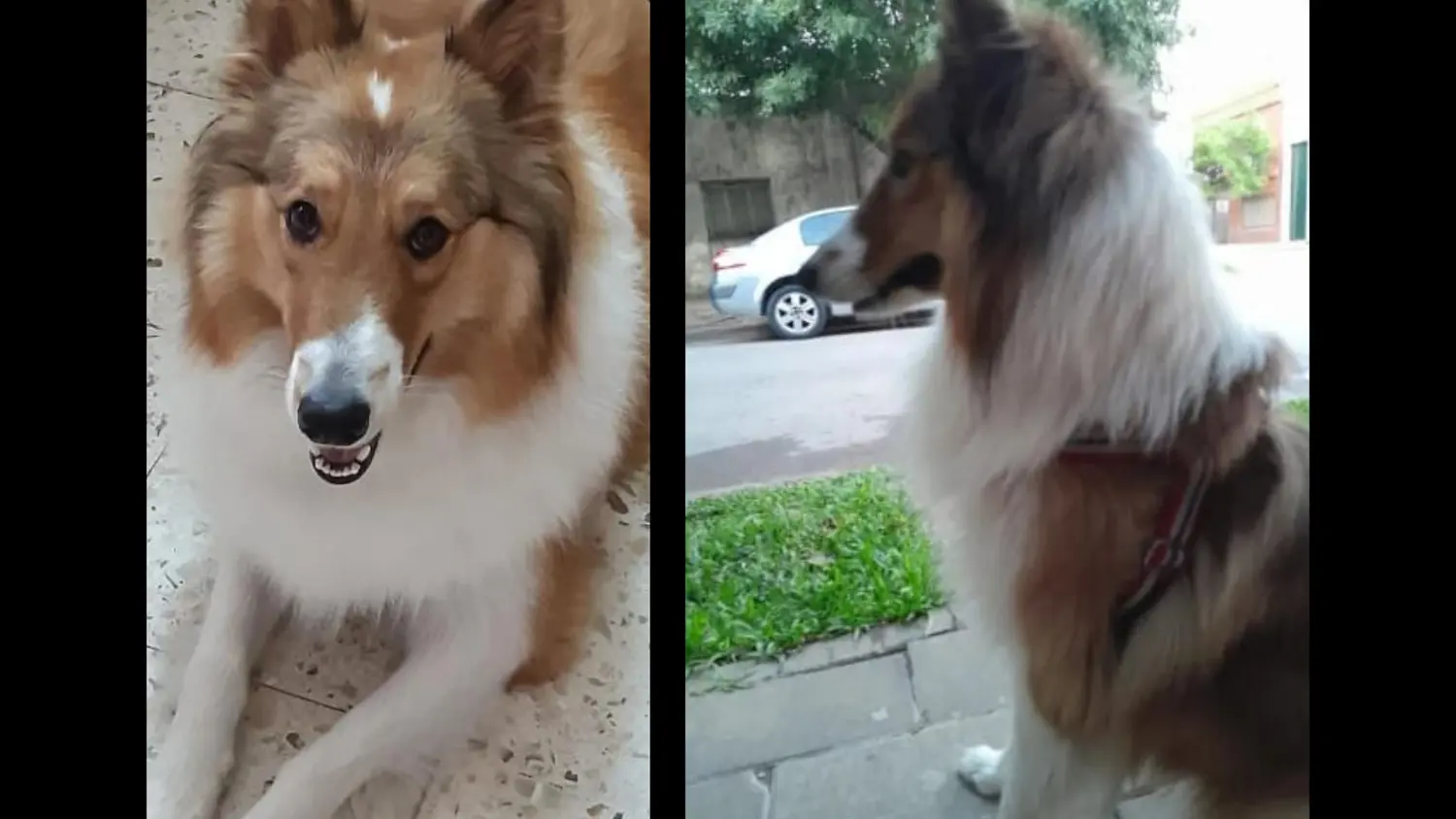 Se perdió Brock en Salta y Laprida