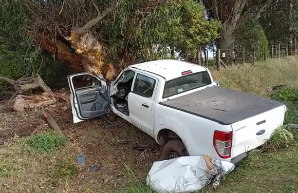 Una camioneta impactó contra un árbol y su conductor fue trasladado al HIGA