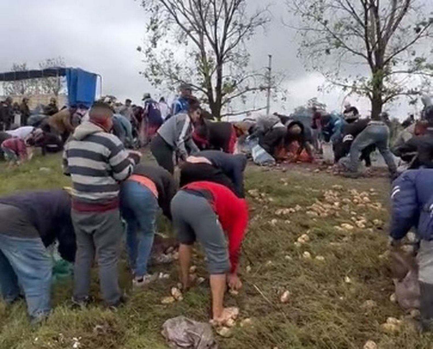 Tucumán: un camión que transportaba papas volcó y los vecinos se robaron la mercadería