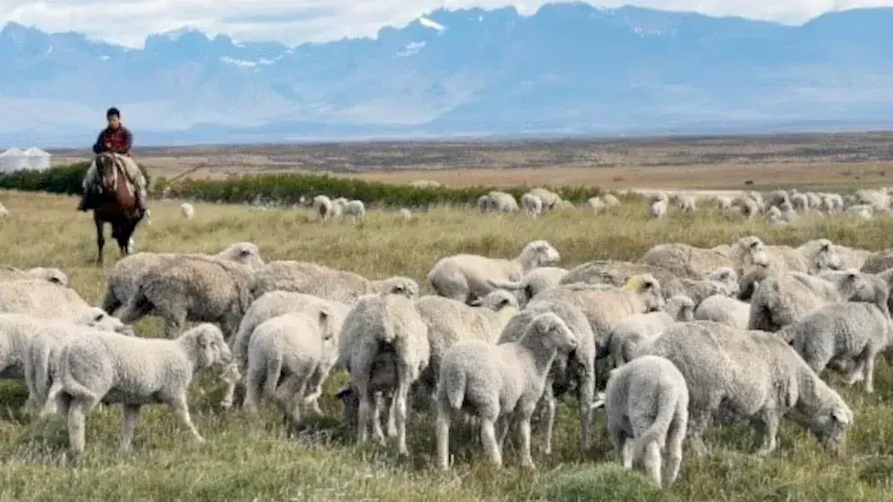 La Justicia habilita la Ley de Tierras para la venta a extranjeros y otras temáticas importantes de la economía argentina