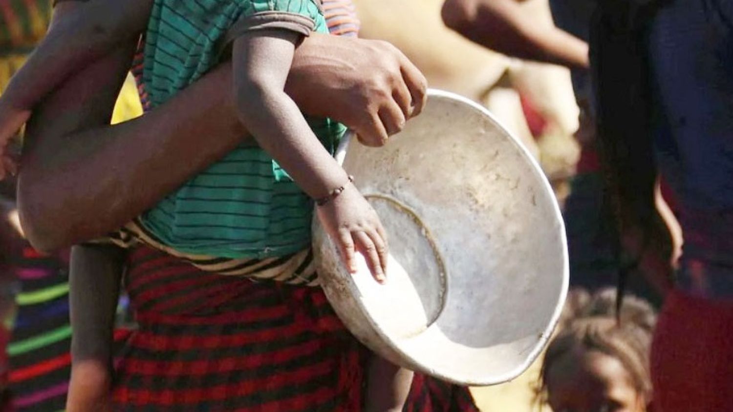 Mensaje del Papa a la FAO: No usar el hambre como arma de guerra
