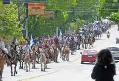 El Municipio habló de un problema logístico y negó el argumento de la limpieza de la bosta de caballo