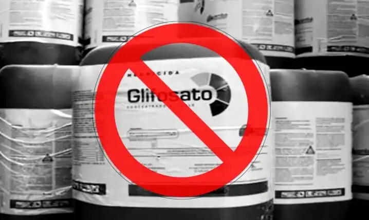 La cámara federal de Paraná revocó la cautelar que suspendía la ordenanza de glifosato