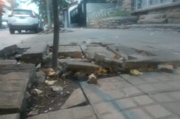 Las veredas bajo la lupa: 18 mil intimaciones en toda la ciudad