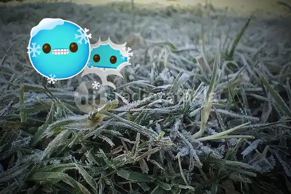 ¡Qué “heladón”! Mañana escarchada en Rafaela con mínimas bajo cero