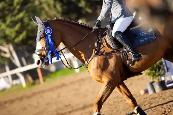 Emilia Gagliano ganó el Subcampeonato del Centro de la República