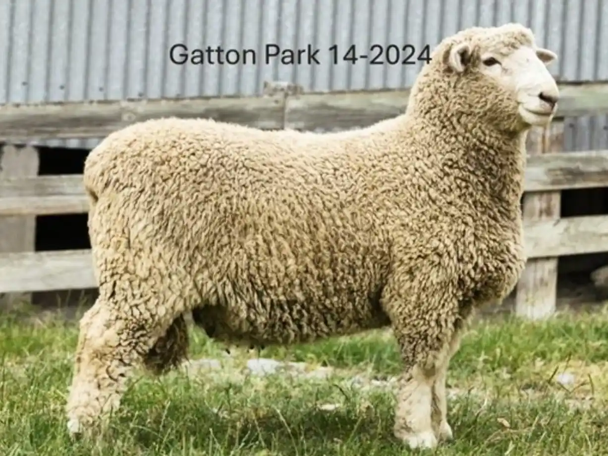 Gran incorporación  de genética en la Cabaña La Libertad