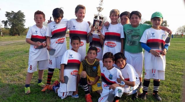 Pequeños campeones