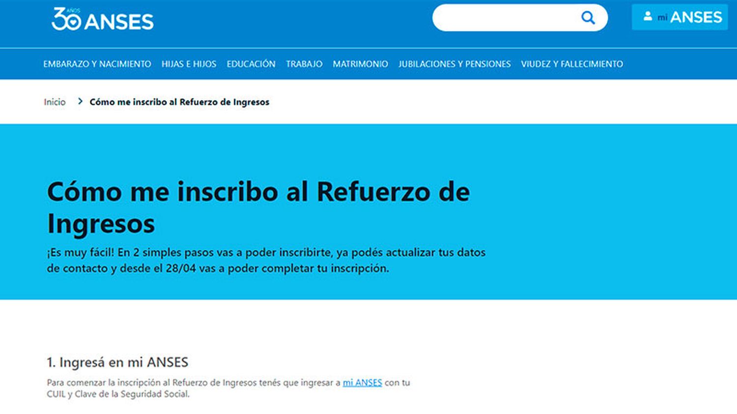 La web de Anses registra cortes por cantidad de consultas: que otra opción hay