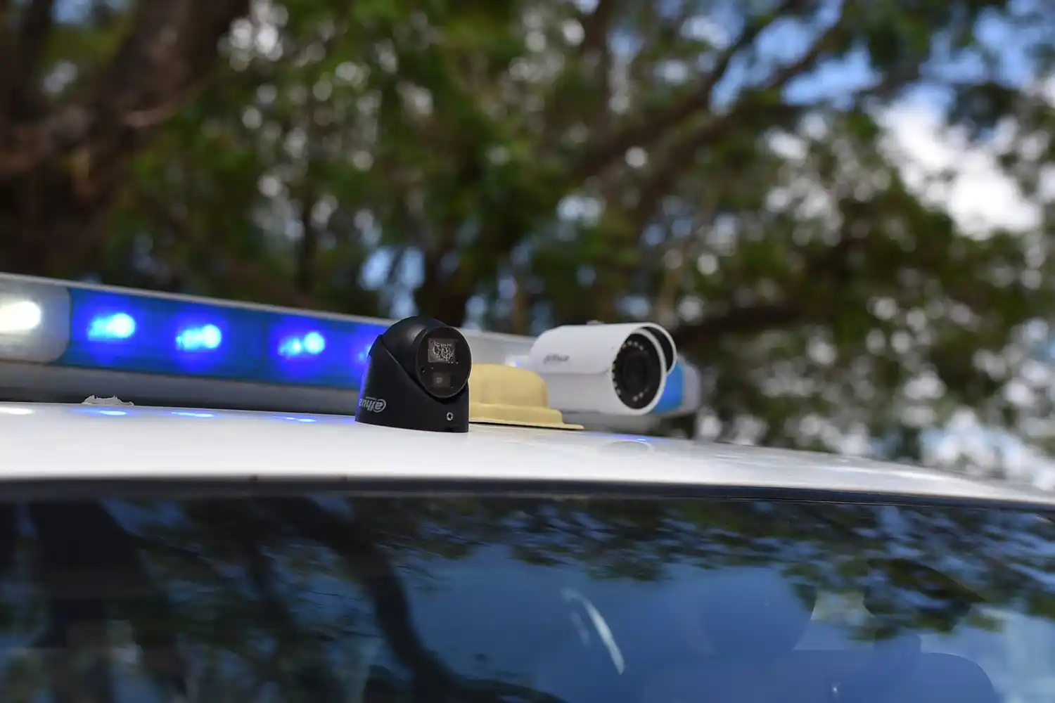 Tras violentar cerradura de vivienda, robaron un televisor y parlante