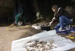 Tras la pista del Fuerte Independencia, hallaron objetos de interés en un local céntrico 