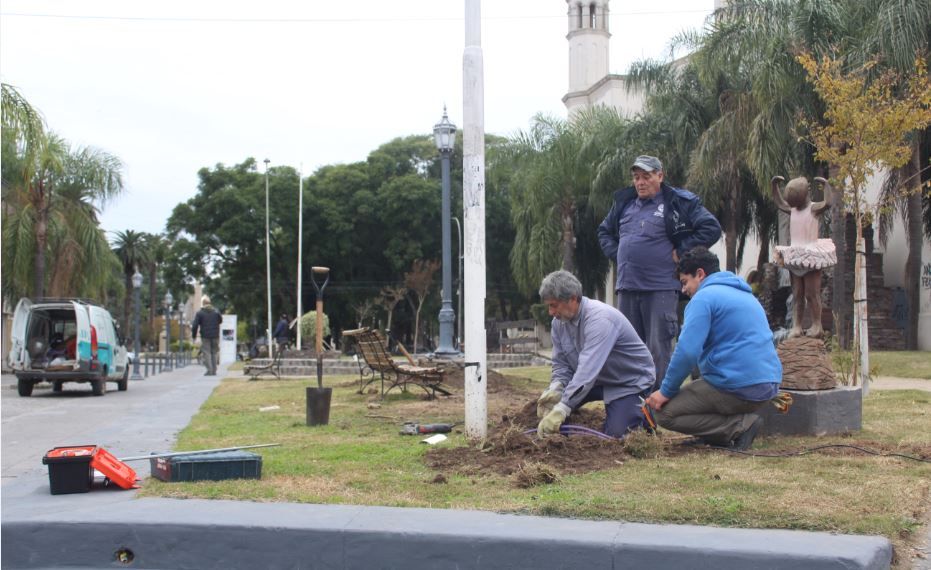 Actualmente se trabaja en el Paseo Rocamora.