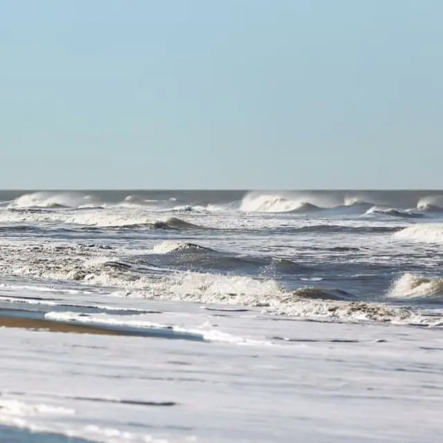 Intendente de Pinamar proyecta una temporada de verano con 2 millones de personas ¿Previsor o imprudente?