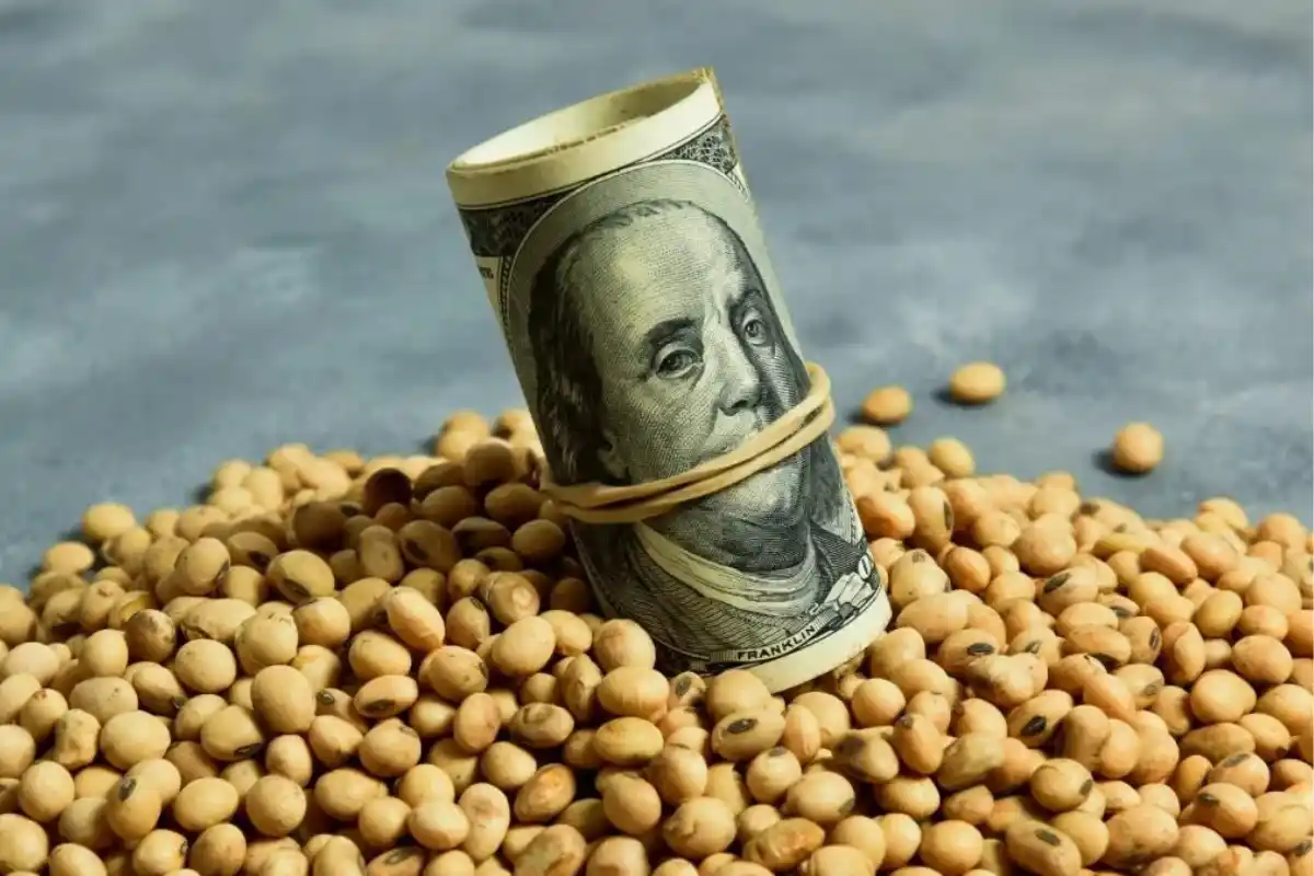 La atención del mundo rural: el dólar soja 4