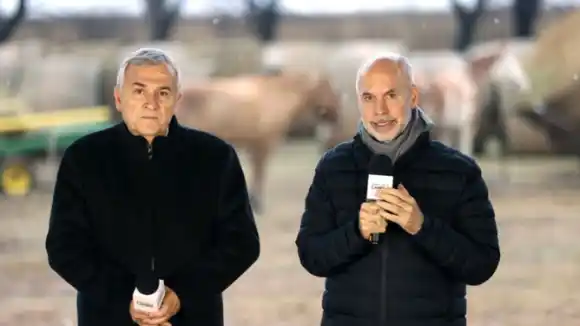 Larreta le respondió a Macri: “Necesitamos leyes y las leyes se votan por mayoría”