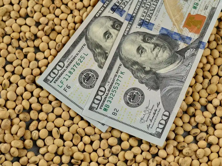 El agro acelera su ritmo exportador con un fuerte salto en las ventas externas