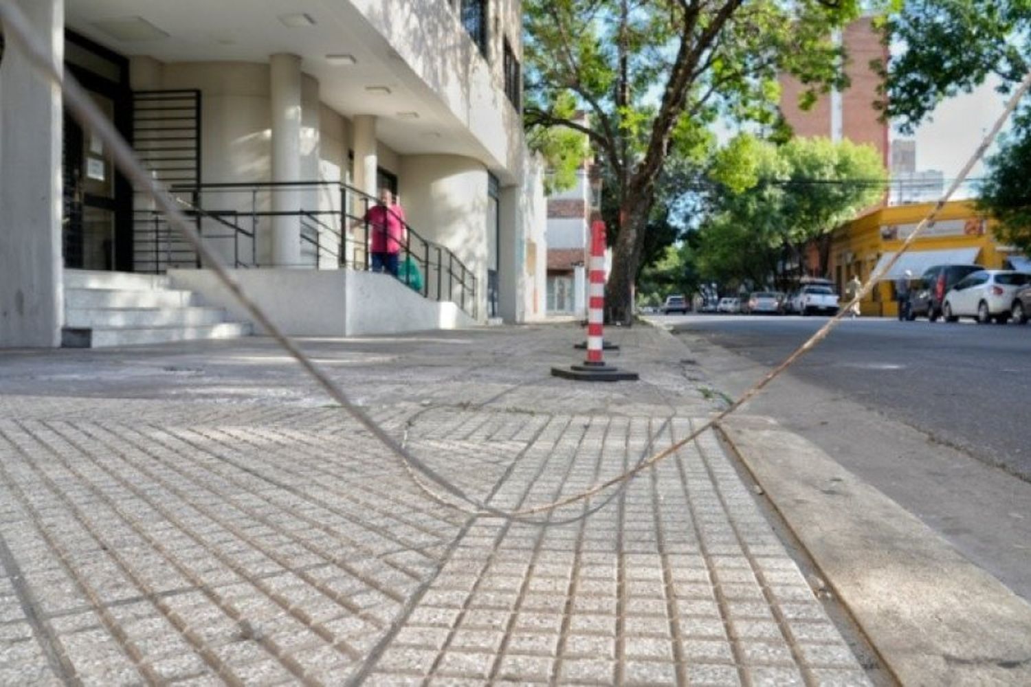 Se trepó a un árbol para robar cables del alumbrado público, se cayó y se lastimó la cadera