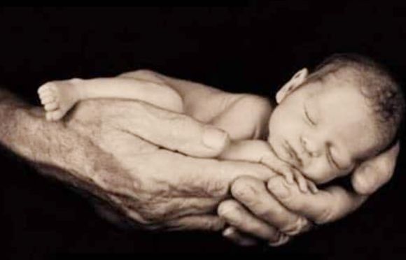 Las cifras de abortos en nuestro país son una “gravísima   tragedia moral”
