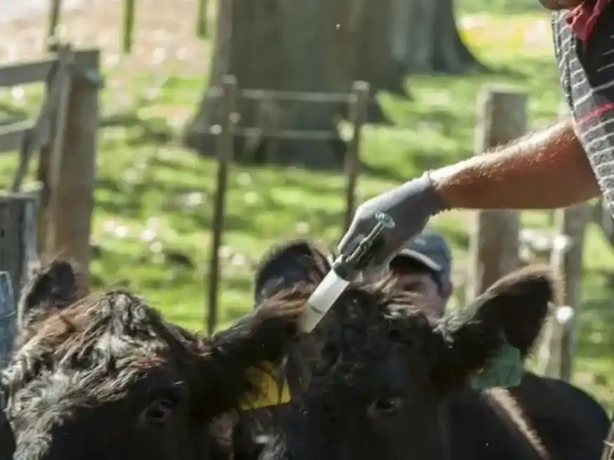 El evento contará con disertantes de primer nivel del ámbito académico, productivo e institucional.