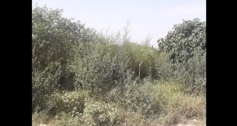 Reclamo por mantenimiento de terreno
