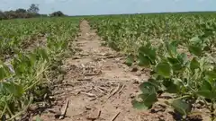 La "Niña" ya está instalada