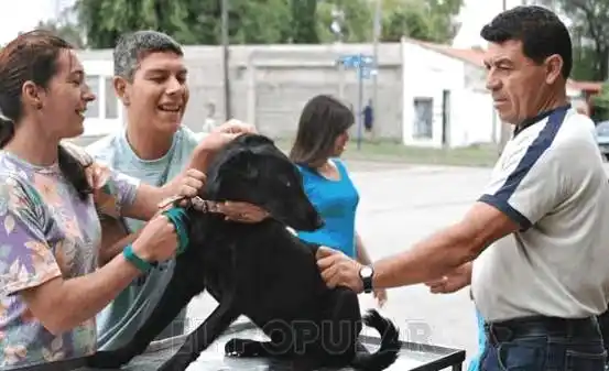 En Olavarría reanudan la vacunación antirrábica