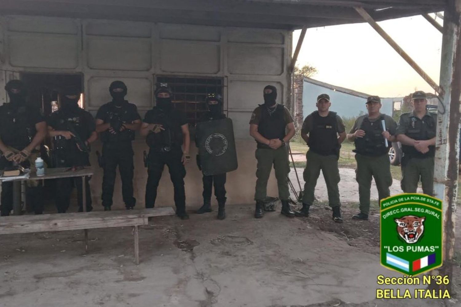 Faenó un animal de 180 kilos y lo atraparon: le encontraron el cuchillo con restos de pelo y sangre