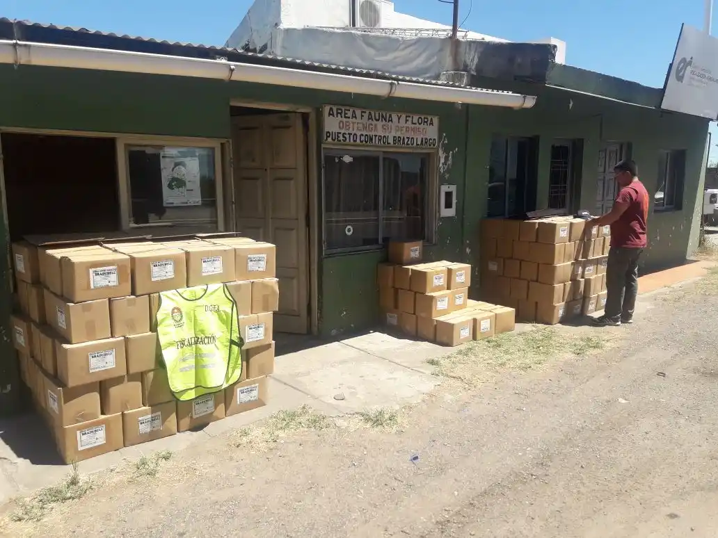 Decomisaron 6.000 kilos de pollos en el sur entrerriano