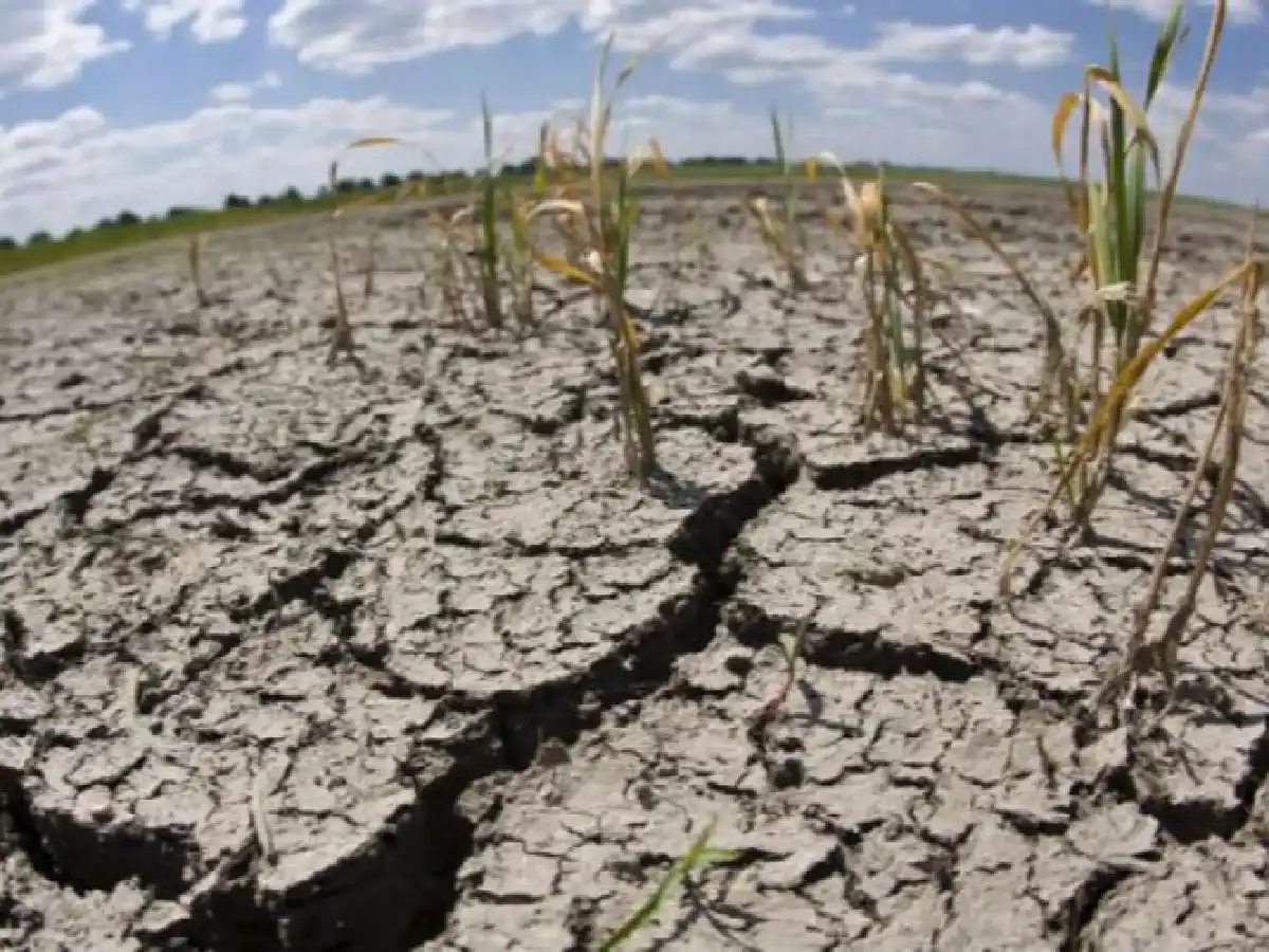 Dramática advertencia sobre cambio climático