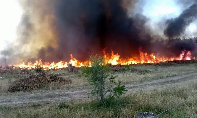 Importante incendio en la Estancia San Carlos 