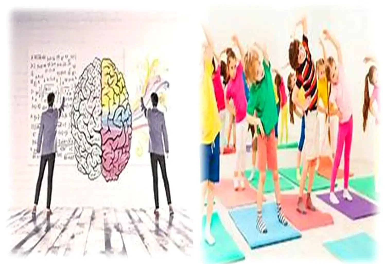 Neurociencias y Educación Física