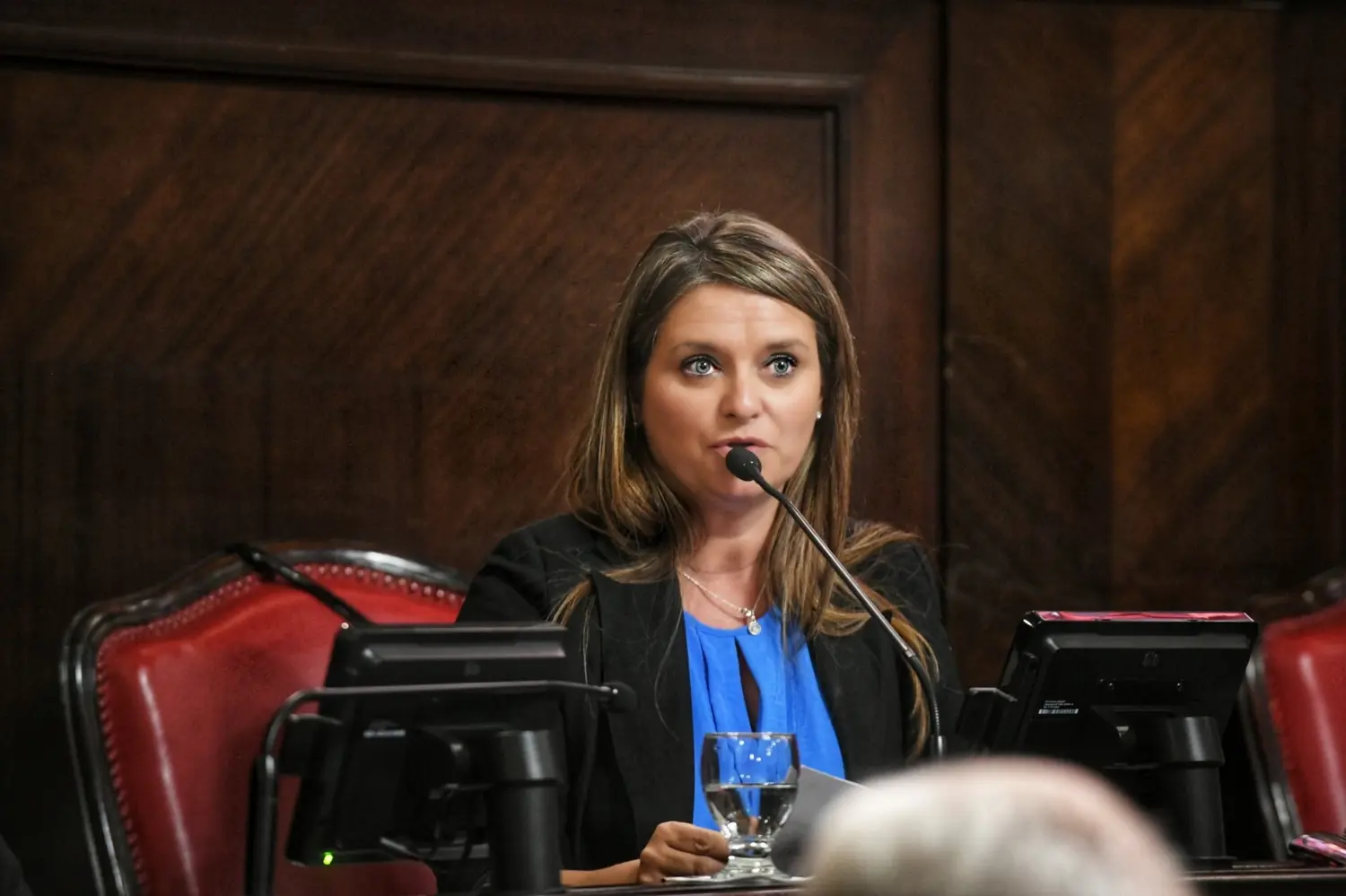 Senadora radical quiere flexibilizar el horario de venta de bebidas alcohólicas