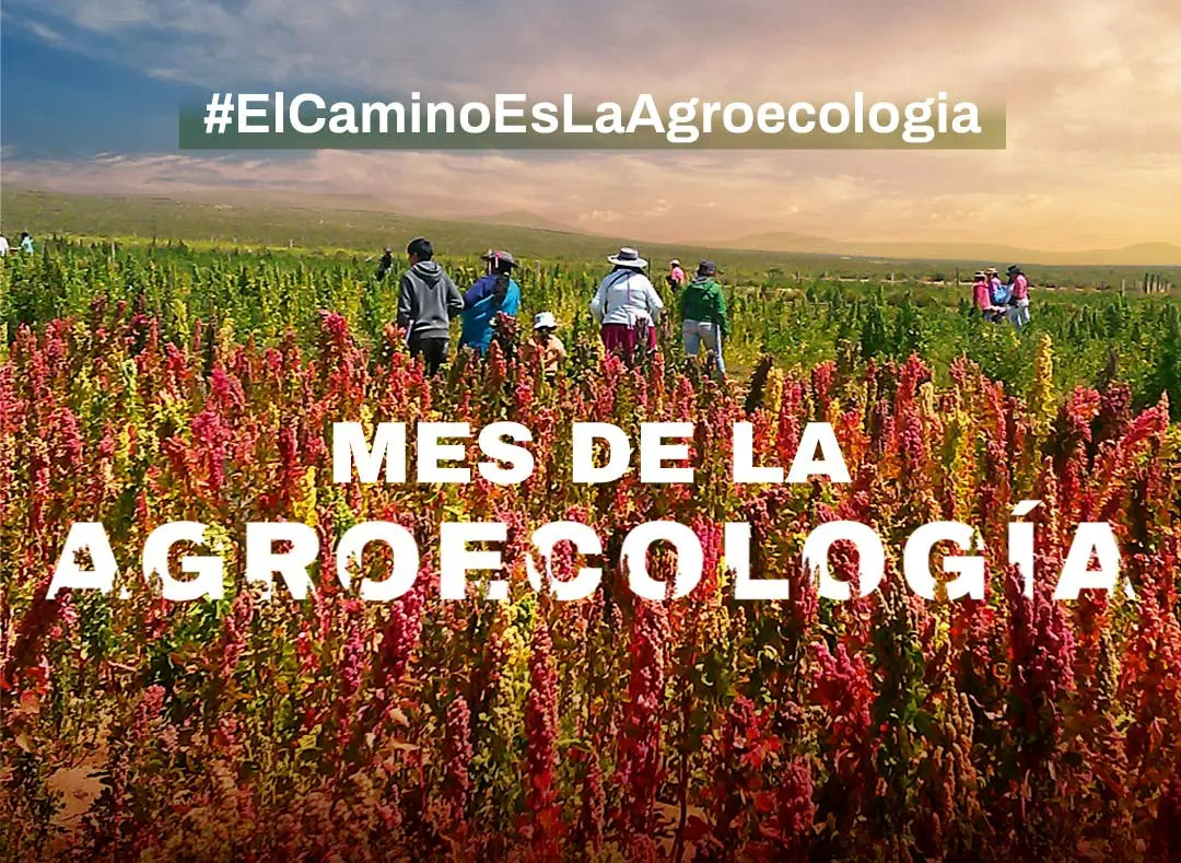 En el Mes de la Agroecología, la FAO destaca a la Chacra de Barrow