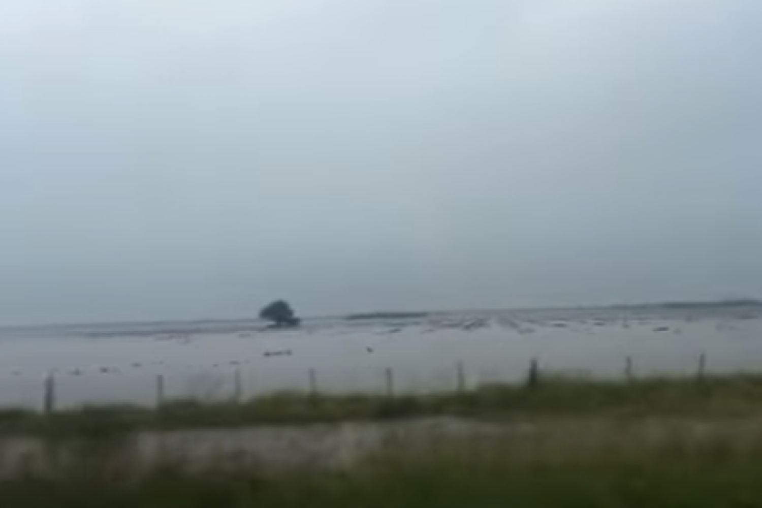 VIDEO | Impactantes imágenes de campos bajo agua luego de las lluvias