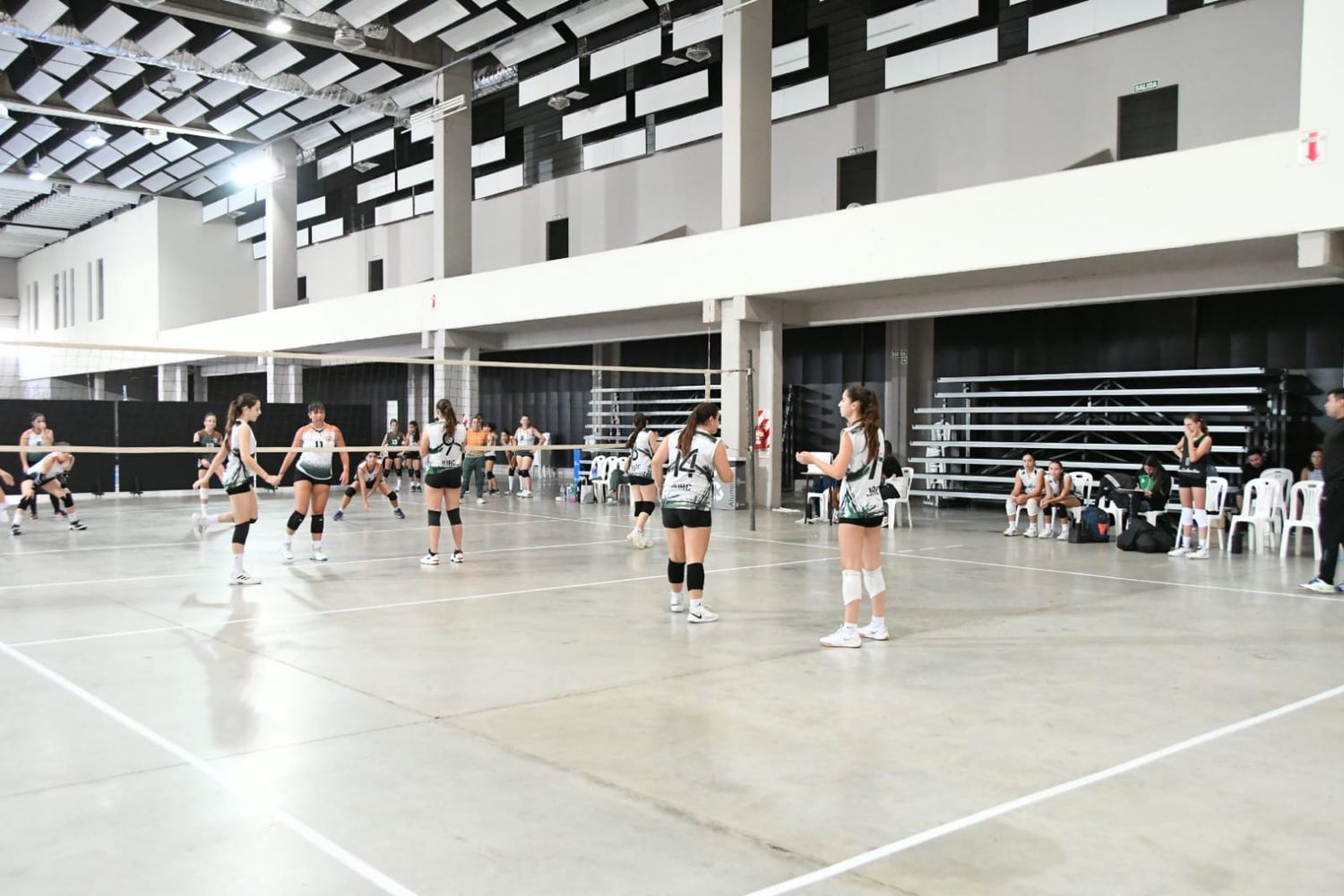 voley