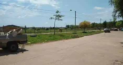 Alerta por caballo suelto