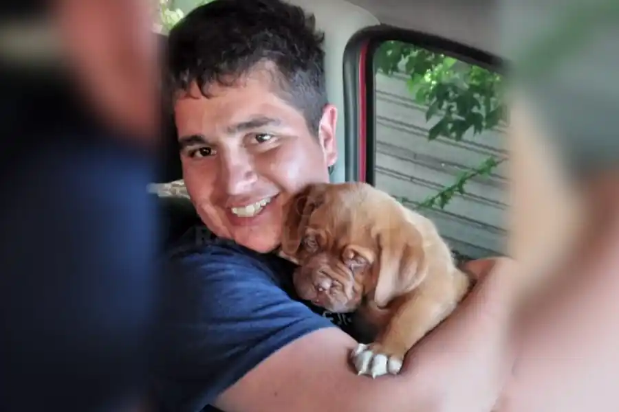 Acusan a un veterinario local de haber matado a una cachorra: “Era más que una perra para mí, y un hijo de puta me la sacó”