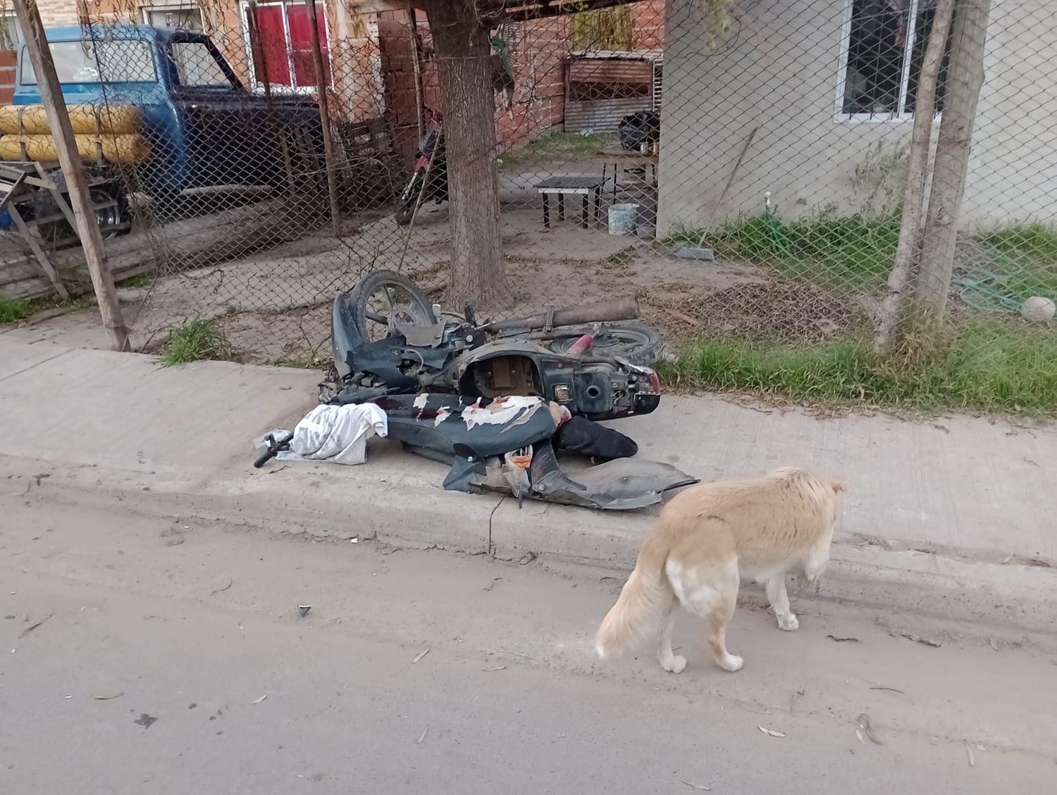Seis accidentados y un joven de 16 años con fractura de maxilar