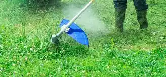 Denunció al Municipio porque su auto fue dañado por una cortadora de pasto de Espacios Verdes