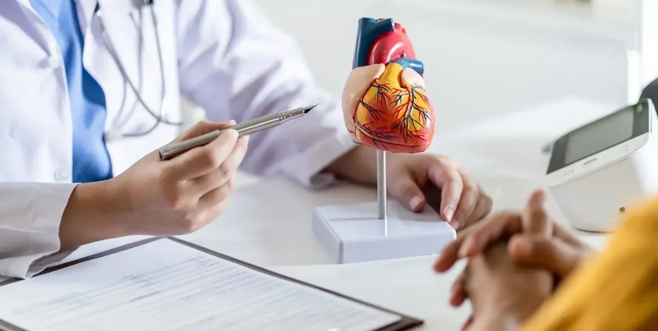 El Gobierno lanzó el Plan Nacional de Abordaje Integral de Salud Vascular para reducir muertes por infartos y ACV