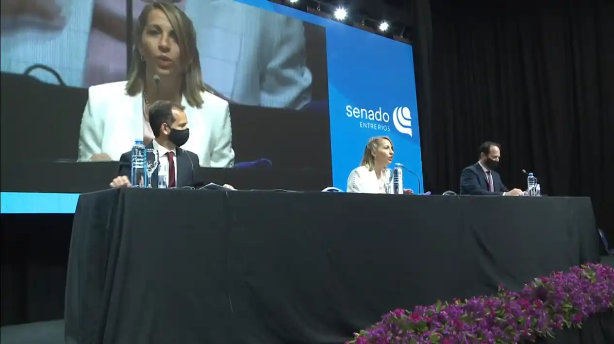 En VIVO: El Senado provincial sancionará el proyecto de Ley de Paridad Integral