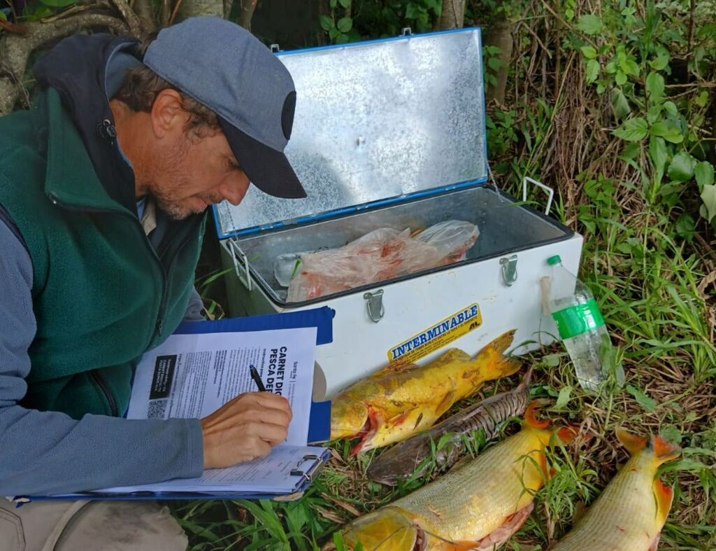 Se llevaron adelante operativos conjuntos que se intensificarán durante el fin de semana largo