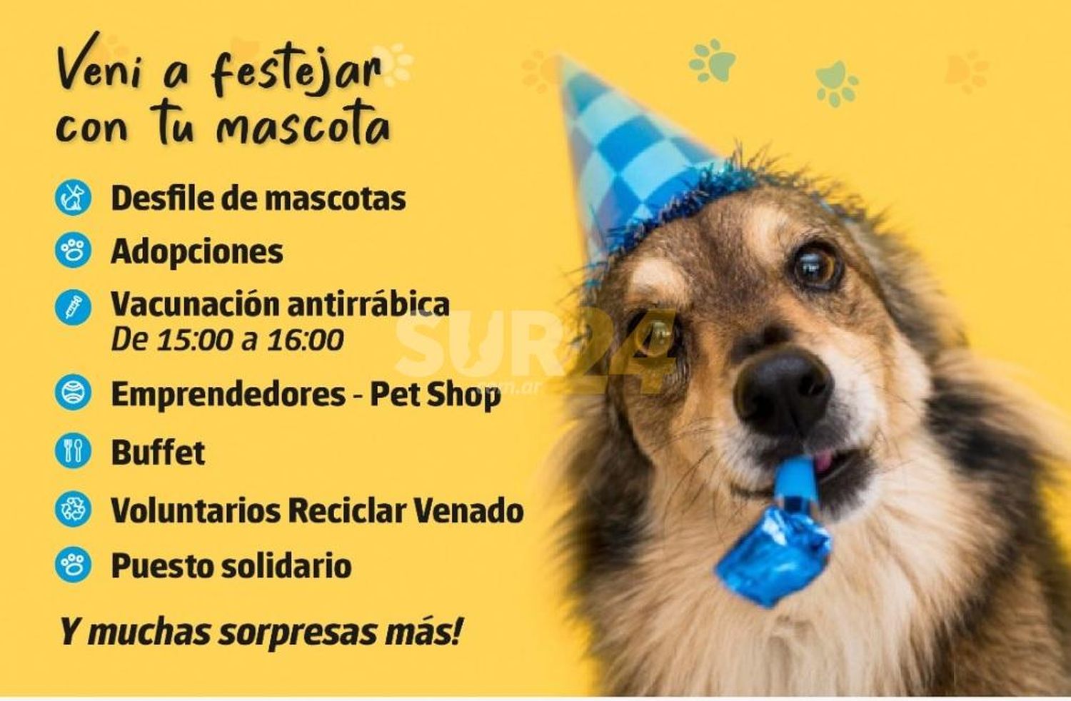 Un 1 de mayo diferente: festival y desfile por el Día del Animal