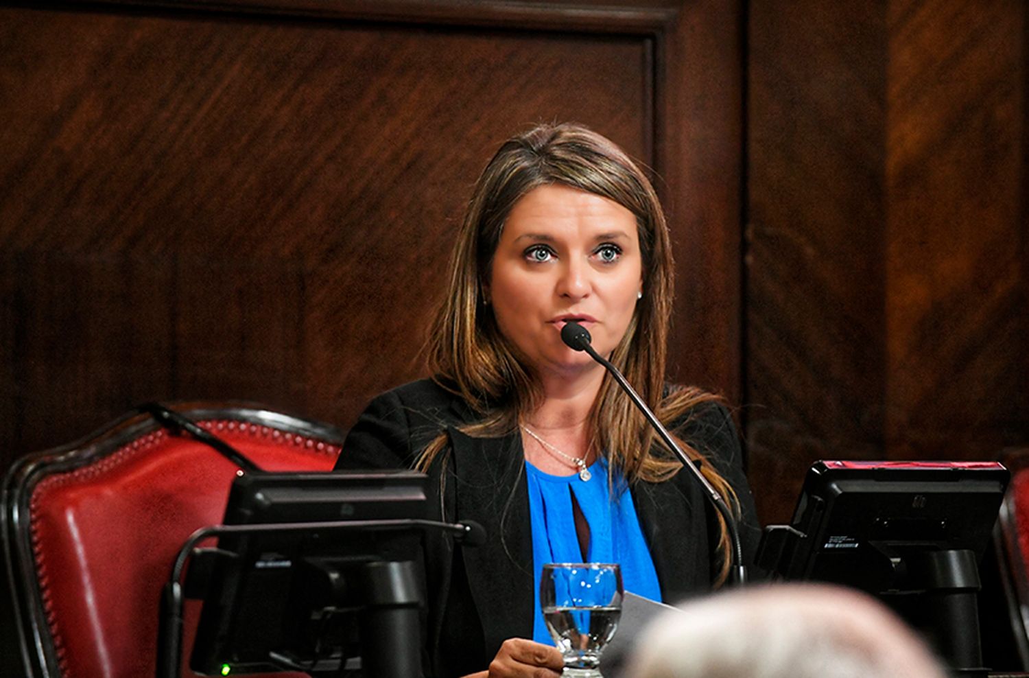 Desde el Senado bonaerense piden que se incluya dentro de la emergencia nacional a los distritos de la Provincia afectados por la sequía