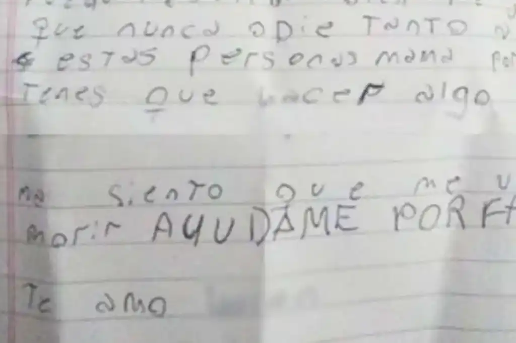El desesperado pedido de ayuda de una nena de 12 años que sufre bullying