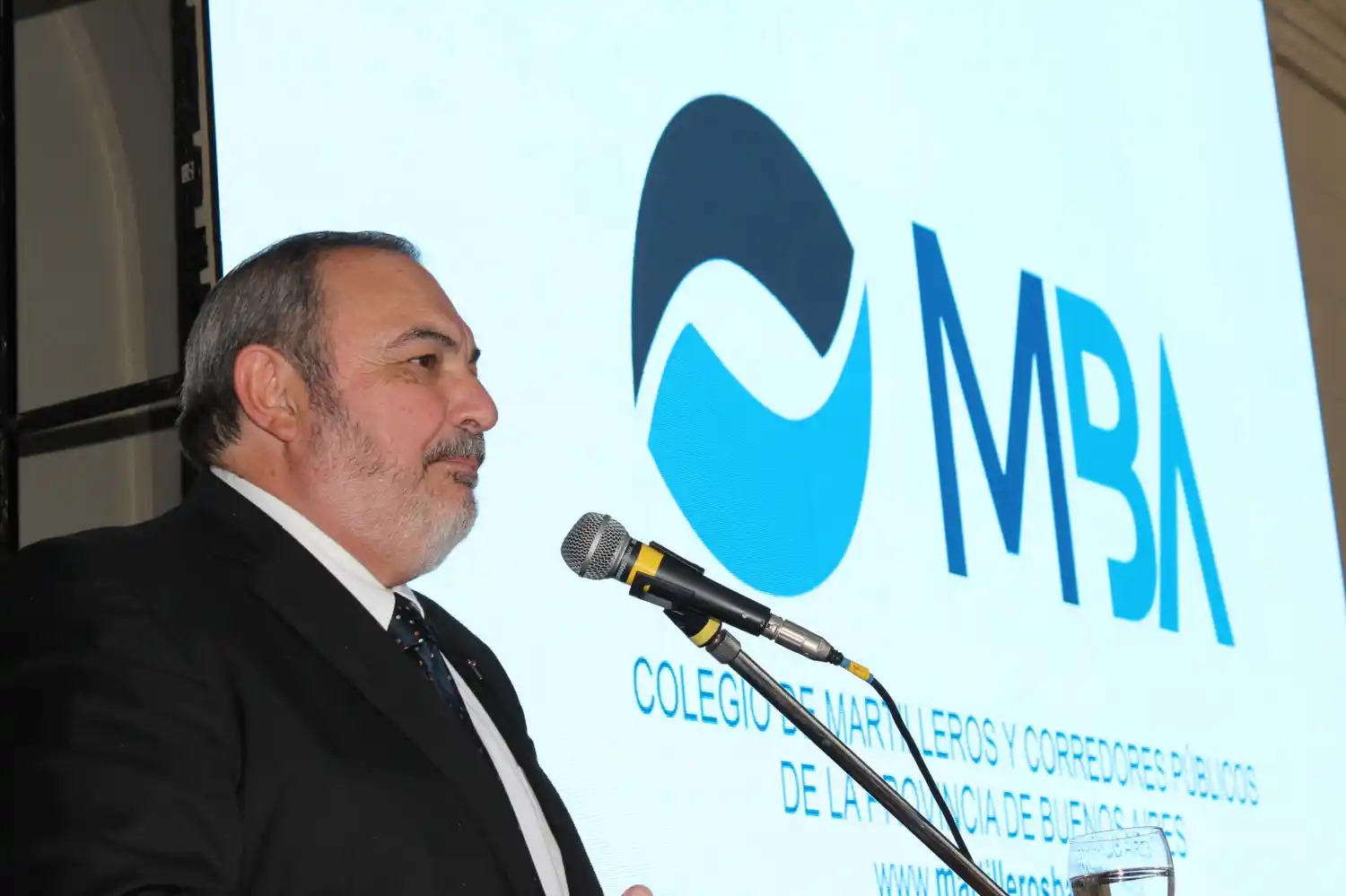 martillero ba
