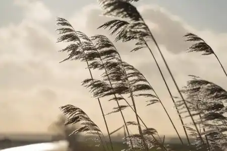 El alerta amarillo por vientos fuertes se extiende hasta la mañana del sábado 7. Foto: Gentileza.