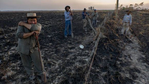 Incendios en Corrientes: “Esto es una catástrofe de la naturaleza, necesitamos la ayuda de todos”